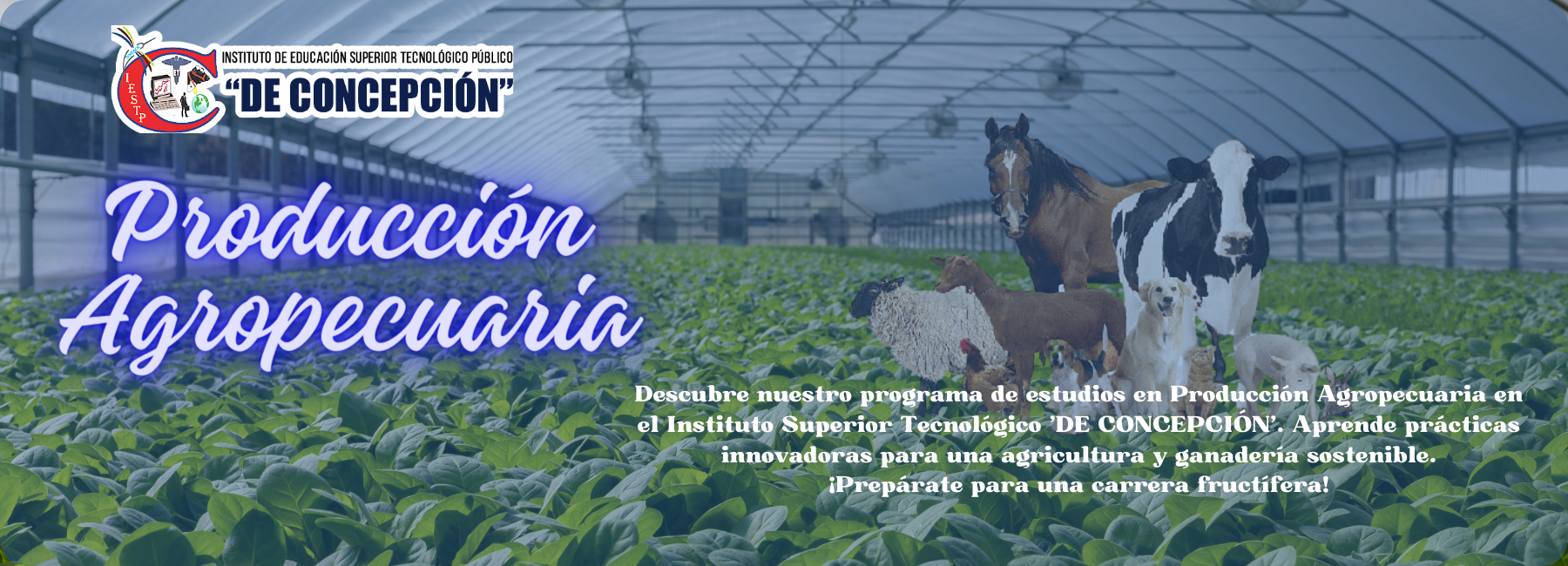Imagen de un ganadero en representación de la carrera de producción agropecuaria